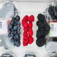 Fresh Mixed Berry 300gm