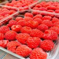 Fresh Raspberry 500gm