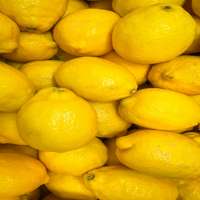 LEMON YELLOW