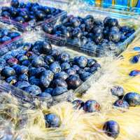 Fresh Blueberry  250gm