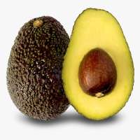Avocado Hass